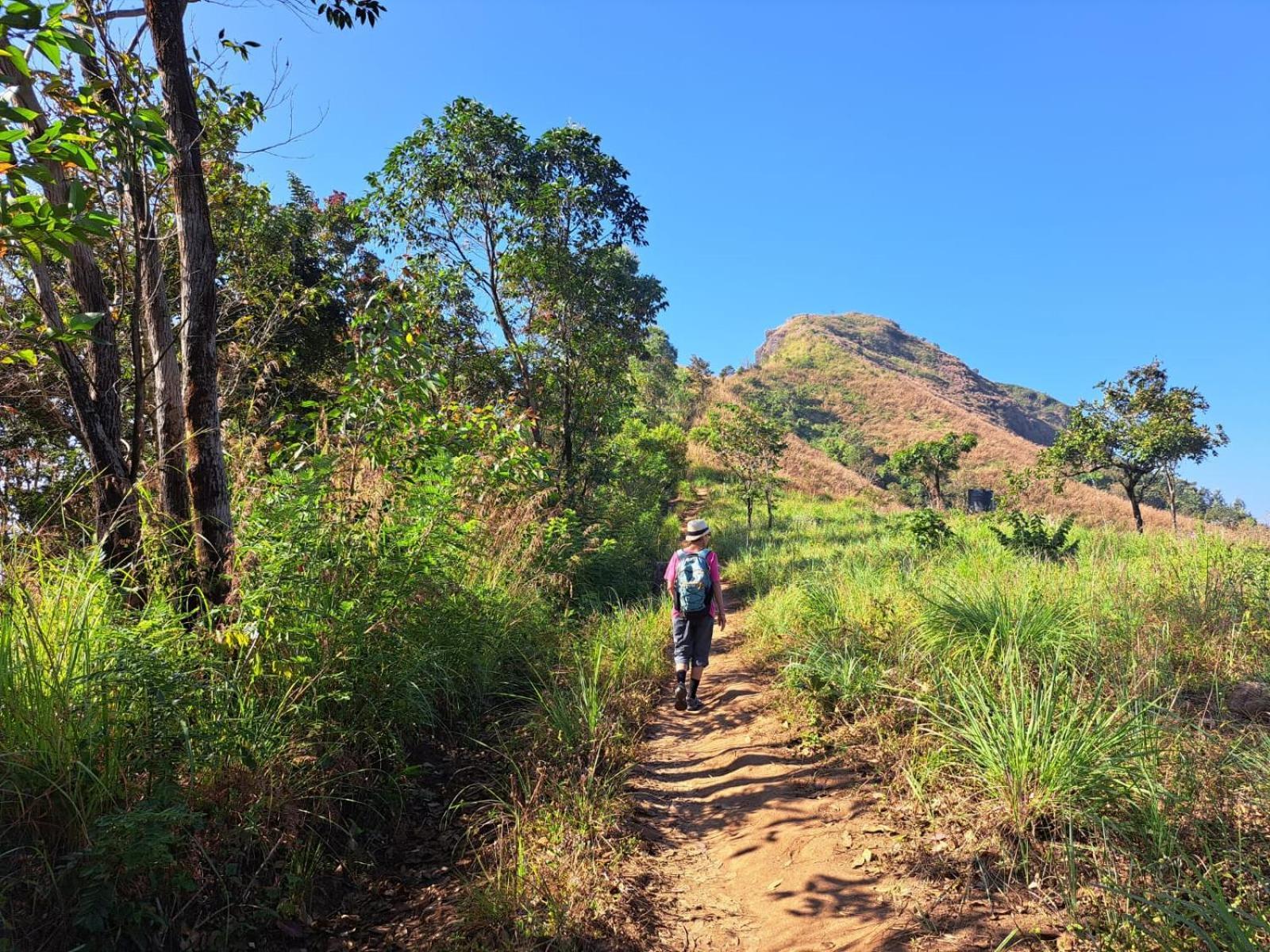 Munnar Village Homes Екстериор снимка