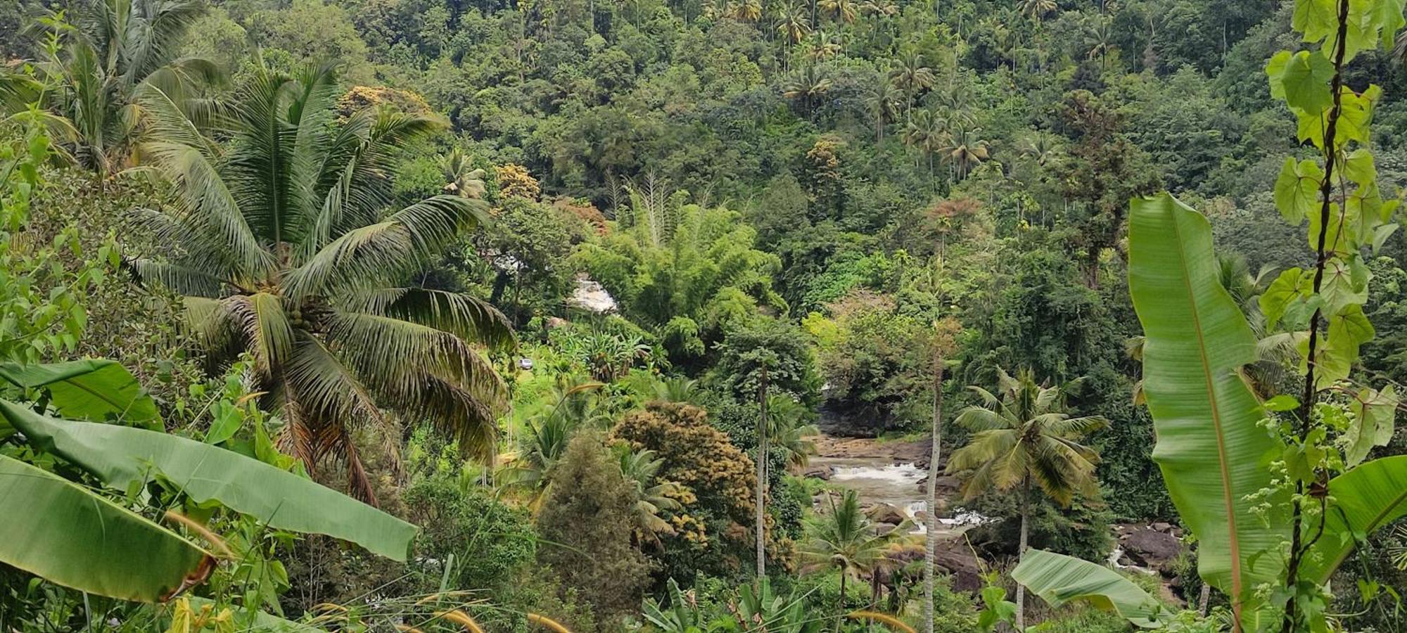 Munnar Village Homes Екстериор снимка