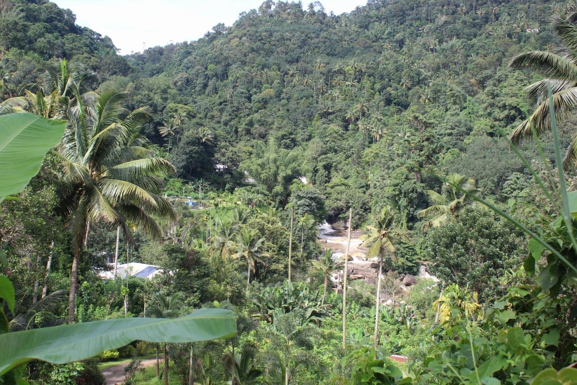 Munnar Village Homes Екстериор снимка